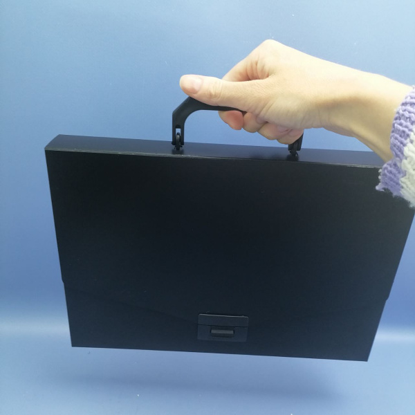 Папка-портфель пластиковая BRAUBERG А4 (330х256х32 мм), одно отделение